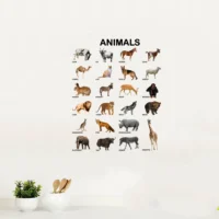 Educational animal name wall sticker for kids RPC1701T38