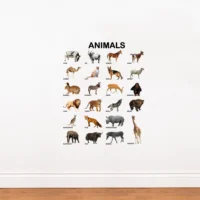 Fun learning animals with names wall sticker RPC1701T38
