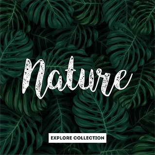 Nature Wall Stickers Rawpockets